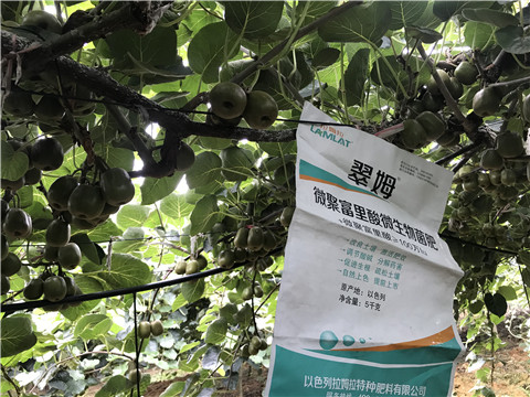 微生物菌劑，翠姆，拉姆拉
