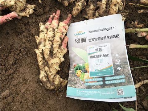 微生物菌劑，翠姆，拉姆拉