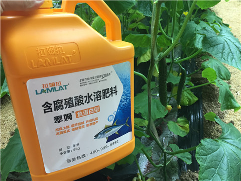 生根劑，魚蛋白水溶肥，拉姆拉