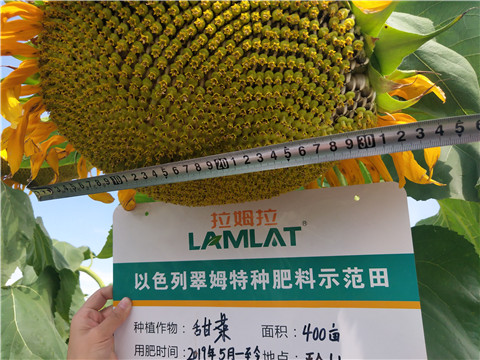 水溶肥，微生物菌劑，拉姆拉