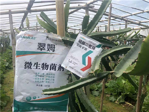 磷酸二氫鉀，翠姆，拉姆拉