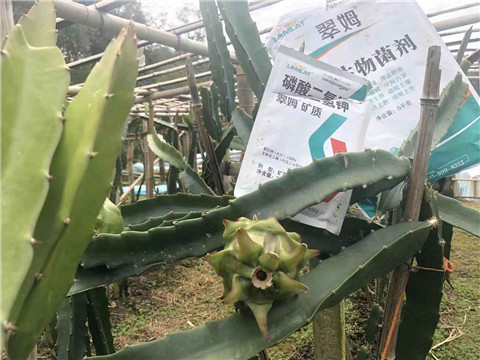 磷酸二氫鉀，翠姆，拉姆拉