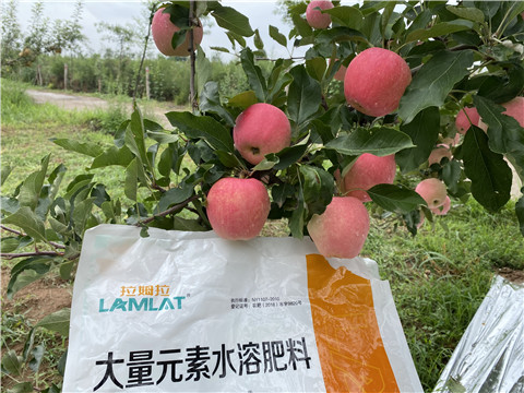 水溶肥，翠姆，拉姆拉