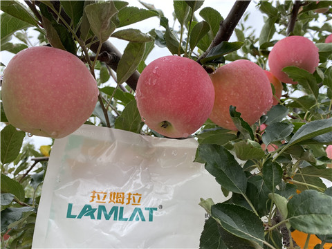 水溶肥，翠姆，拉姆拉
