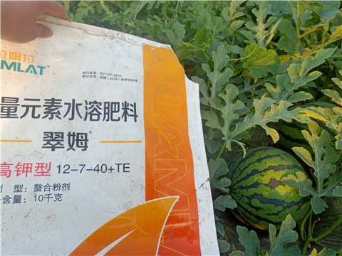 水溶肥，拉姆拉，翠姆