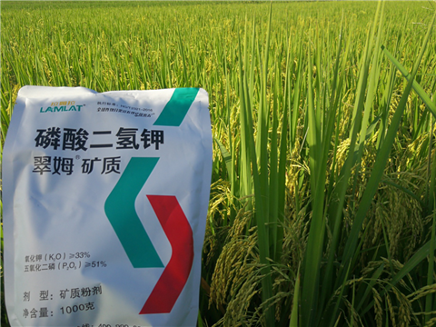 葉面肥，水稻灌漿肥，拉姆拉