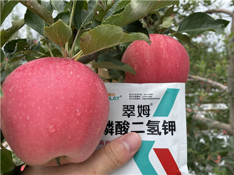 高鉀水溶肥，磷酸二氫鉀，拉姆拉，翠姆