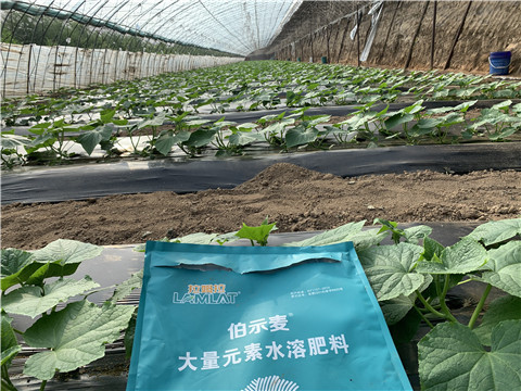 水溶肥，拉姆拉