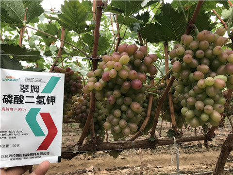 進口水溶肥，拉姆拉