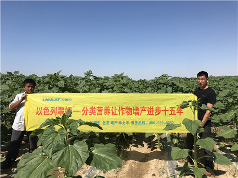 進(jìn)口水溶肥，拉姆拉