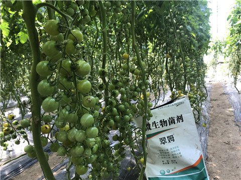 微生物菌劑，磷酸二氫鉀，翠姆，拉姆拉