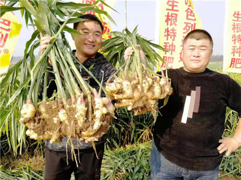 水溶肥，翠姆，拉姆拉