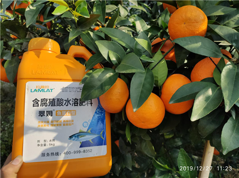 水溶肥，翠姆，拉姆拉