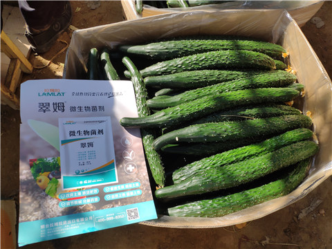 葉面肥，安碧解，除草劑藥害