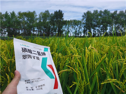 磷酸二氫鉀，拉姆拉，翠姆