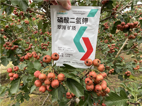 磷酸二氫鉀，拉姆拉，翠姆