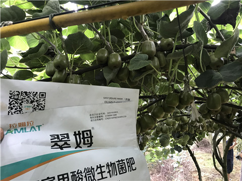 微生物菌劑，平衡顆粒復合肥，翠姆，拉姆拉