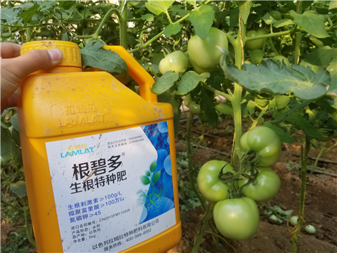 葉面肥，磷酸二氫鉀，微生物菌劑，翠姆，拉姆拉