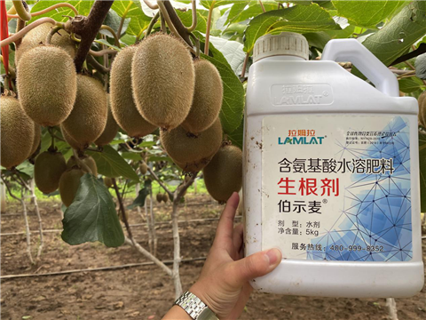 水溶肥，生根劑，微生物菌劑，伯示麥，拉姆拉