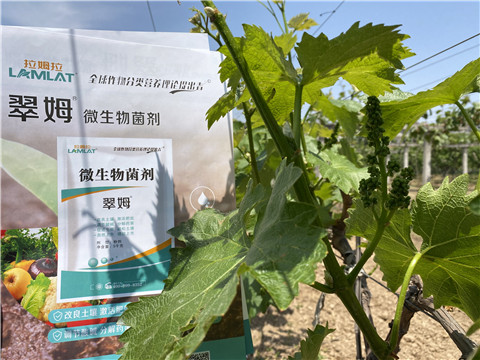 微生物菌劑，拉姆拉，翠姆