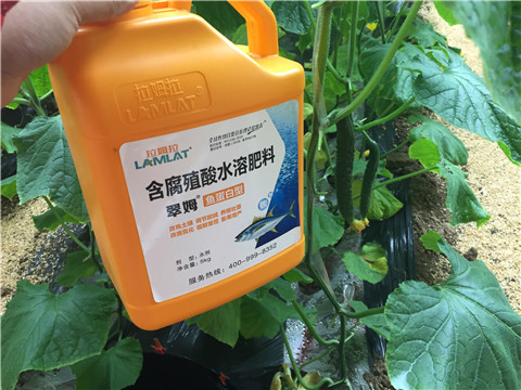 滴灌肥，拉姆拉，翠姆