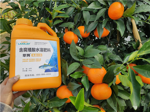 滴灌肥，拉姆拉，翠姆