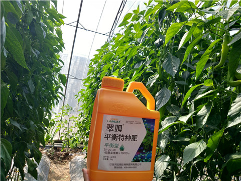 滴灌肥，拉姆拉，翠姆