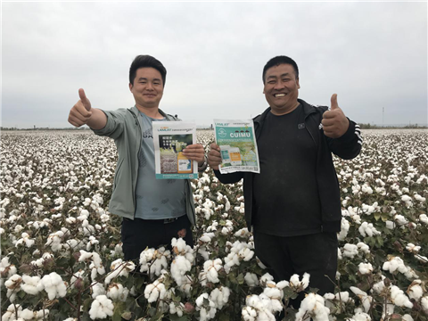 棉花，水溶肥，拉姆拉，翠姆