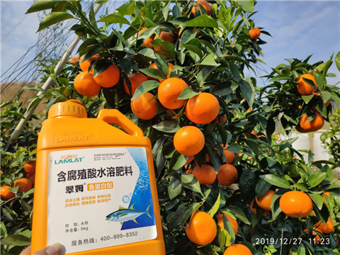 水溶肥，拉姆拉，翠姆