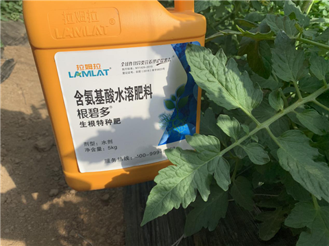 水溶肥，拉姆拉，翠姆