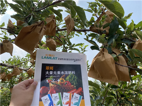 大量元素水溶肥，拉姆拉，翠姆