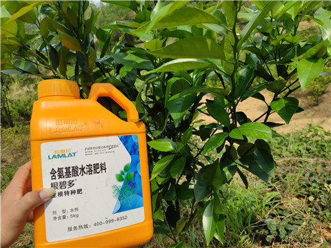 水溶肥，拉姆拉，翠姆