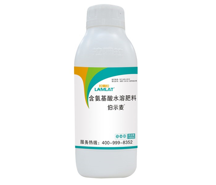 葉面肥，拉姆拉，伯示麥