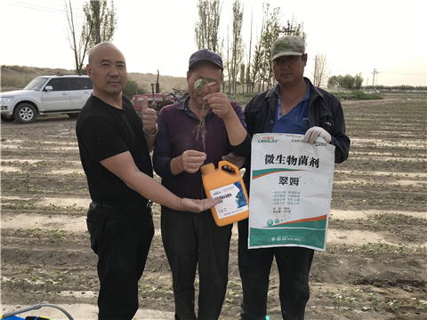 水溶肥，拉姆拉，翠姆