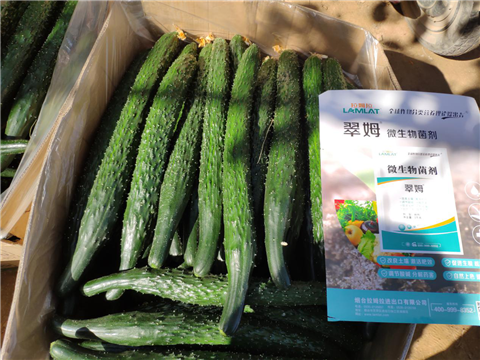 微生物菌劑，拉姆拉，翠姆