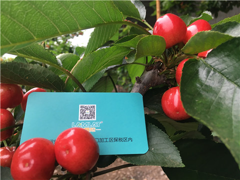 大量元素水溶肥，拉姆拉，翠姆
