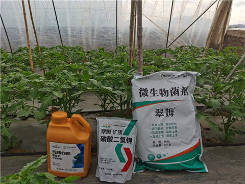 水溶肥，拉姆拉，翠姆