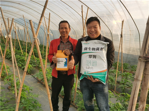 水溶肥，拉姆拉，翠姆