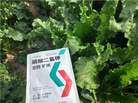 水溶肥，拉姆拉，翠姆