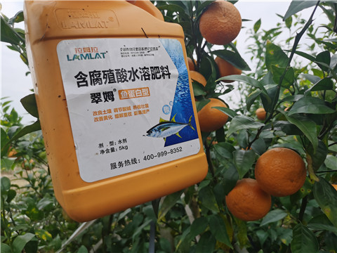 水溶肥，拉姆拉，翠姆