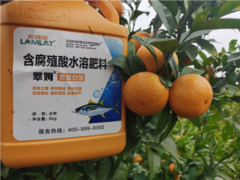 水溶肥，拉姆拉，翠姆