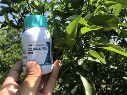 葉面肥，拉姆拉，翠姆