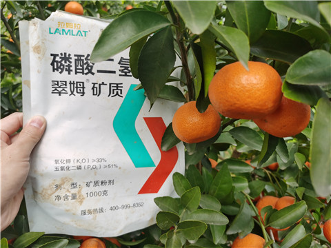水溶肥，拉姆拉，翠姆