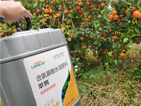 水溶肥，拉姆拉，翠姆