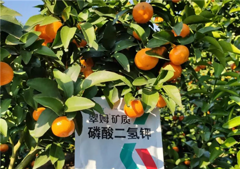 磷酸二氫鉀，拉姆拉，翠姆