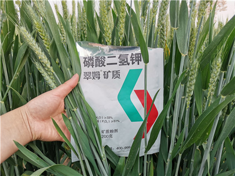 葉面肥，水溶肥，磷酸二氫鉀