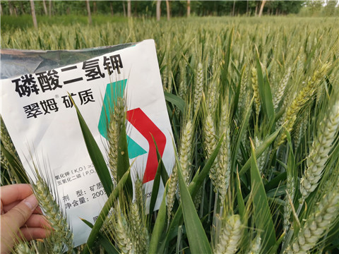 葉面肥，水溶肥，磷酸二氫鉀