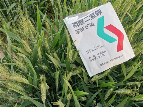 水溶肥，拉姆拉，翠姆