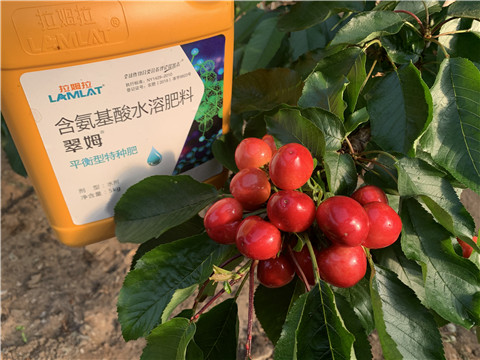 水溶肥，拉姆拉，翠姆