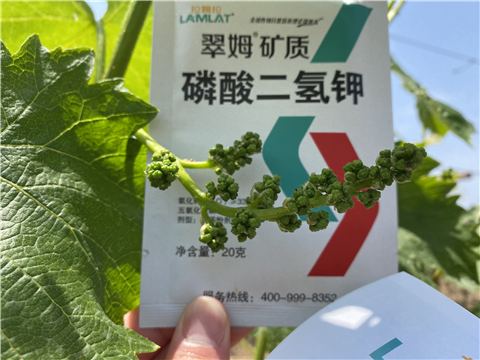 磷酸二氫鉀，拉姆拉，翠姆